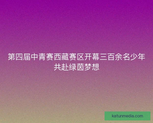 第四届中青赛西藏赛区开幕三百余名少年共赴绿茵梦想